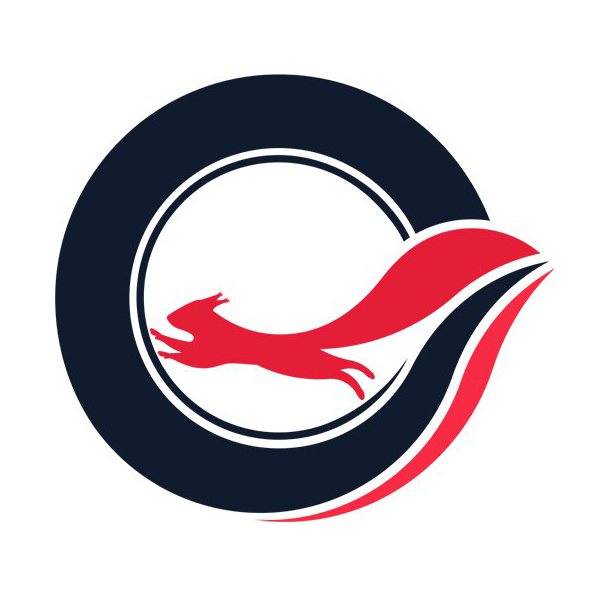Логотип компании «ШИНСЕРВИС»