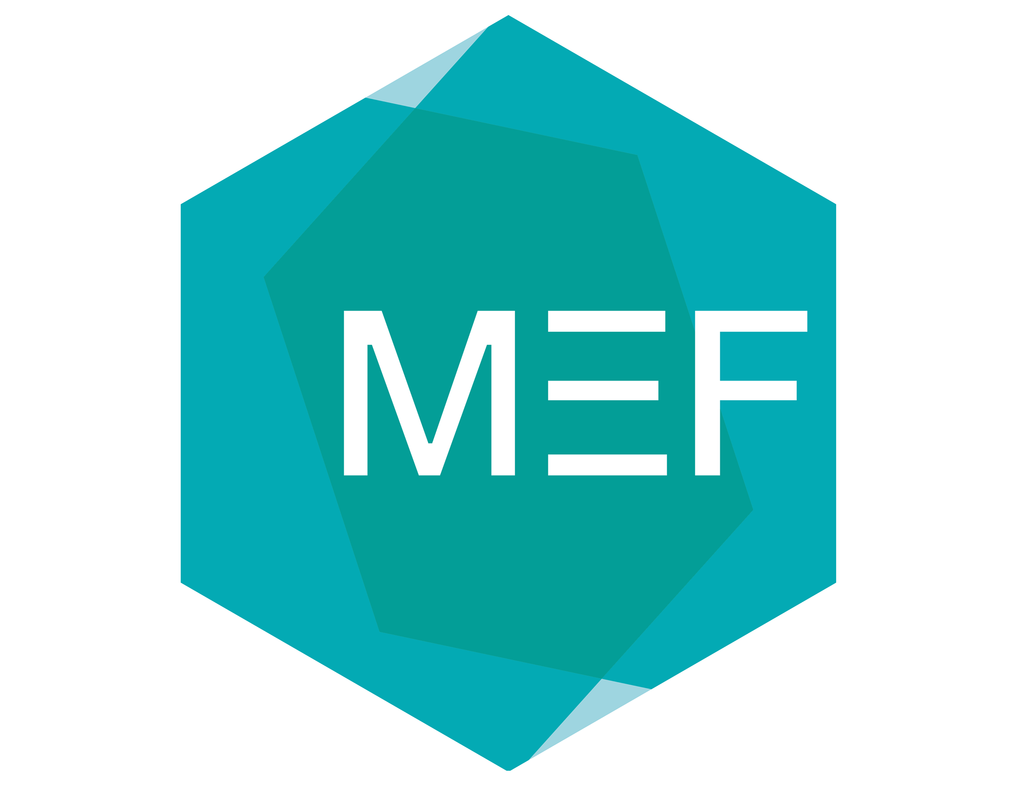 Логотип компании «MEF»