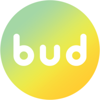 Логотип компании «BuddyHR»
