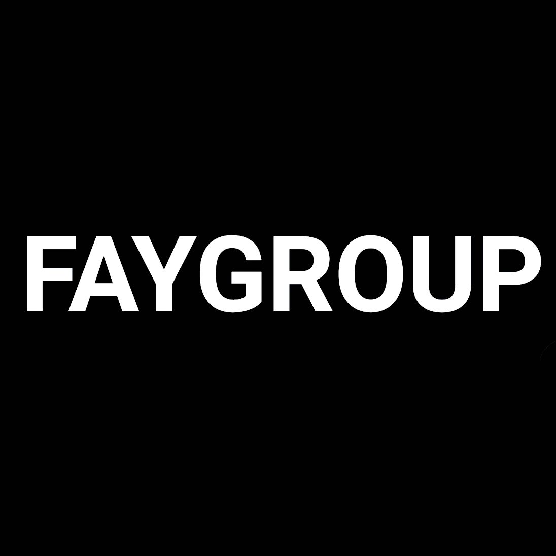 Логотип компании «Fay Group»