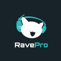 Логотип компании «RavePro»