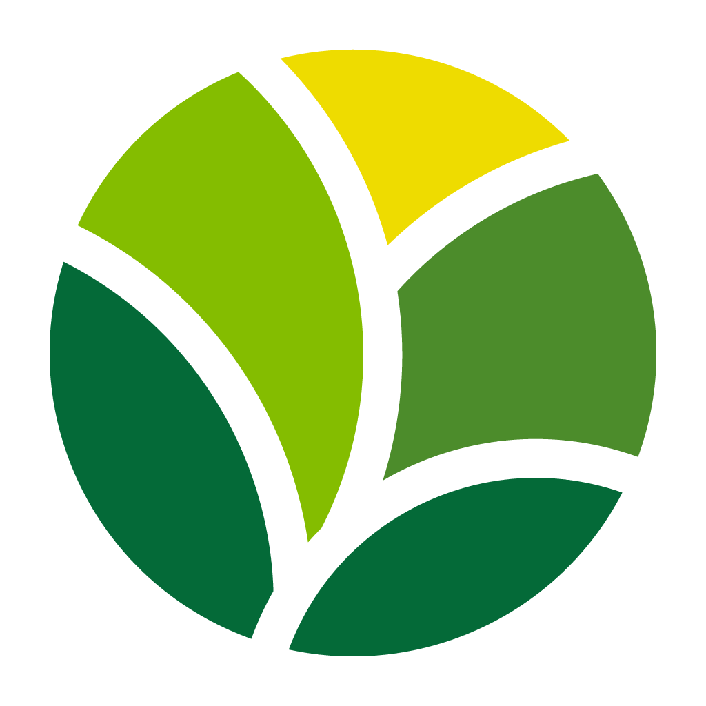Логотип компании «Bloomio»