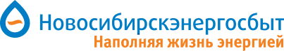 Логотип компании «Новосибирскэнергосбыт»