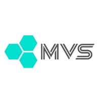 Логотип компании «MVS»