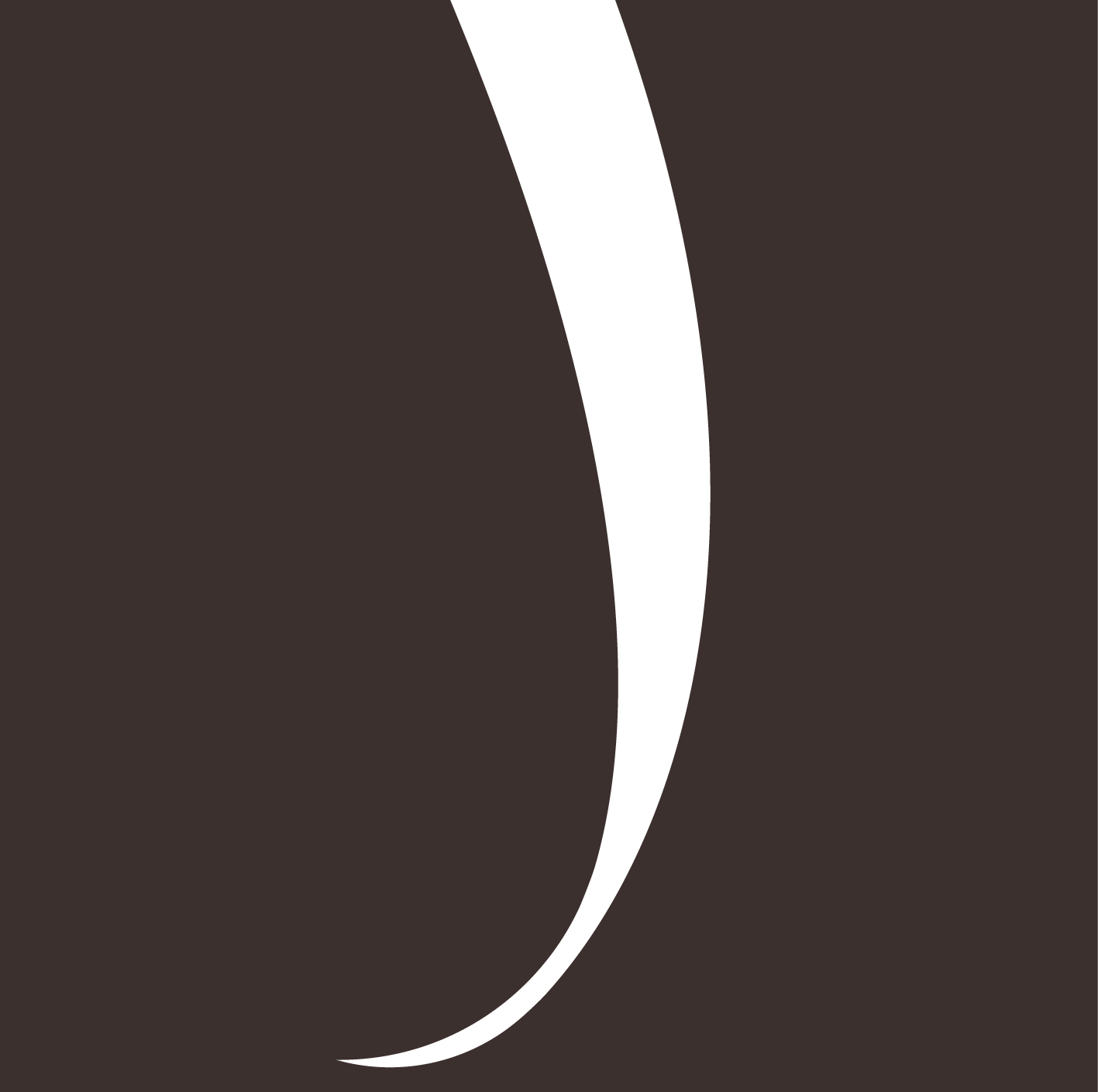 Логотип компании «Кашемир и Шелк»