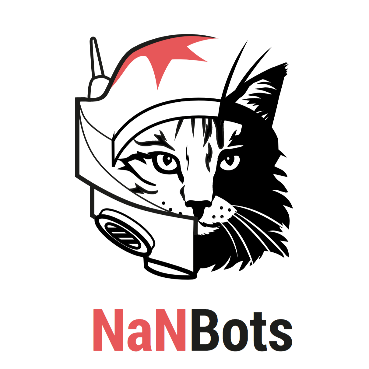 Логотип компании «NaNBots»