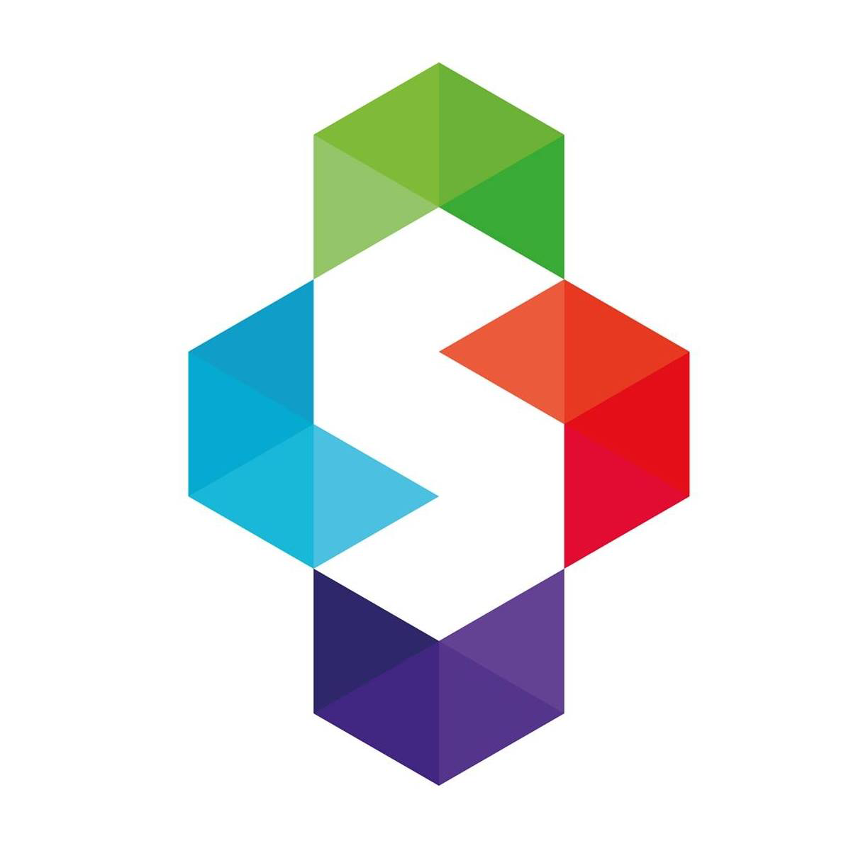 Логотип компании «Spiral Scout»