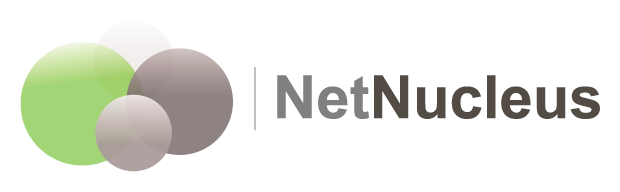 Логотип компании «NetNucleus»