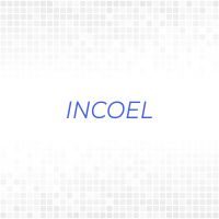 Логотип компании «INCOEL»