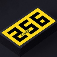 Логотип компании «Studio 256»