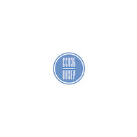 Логотип компании «ССПЭБ»
