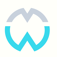 Логотип компании «Wisent Media»