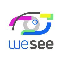 Логотип компании «WeSee AI»