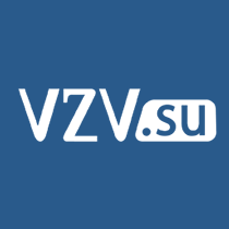 Логотип компании «VZV.su»