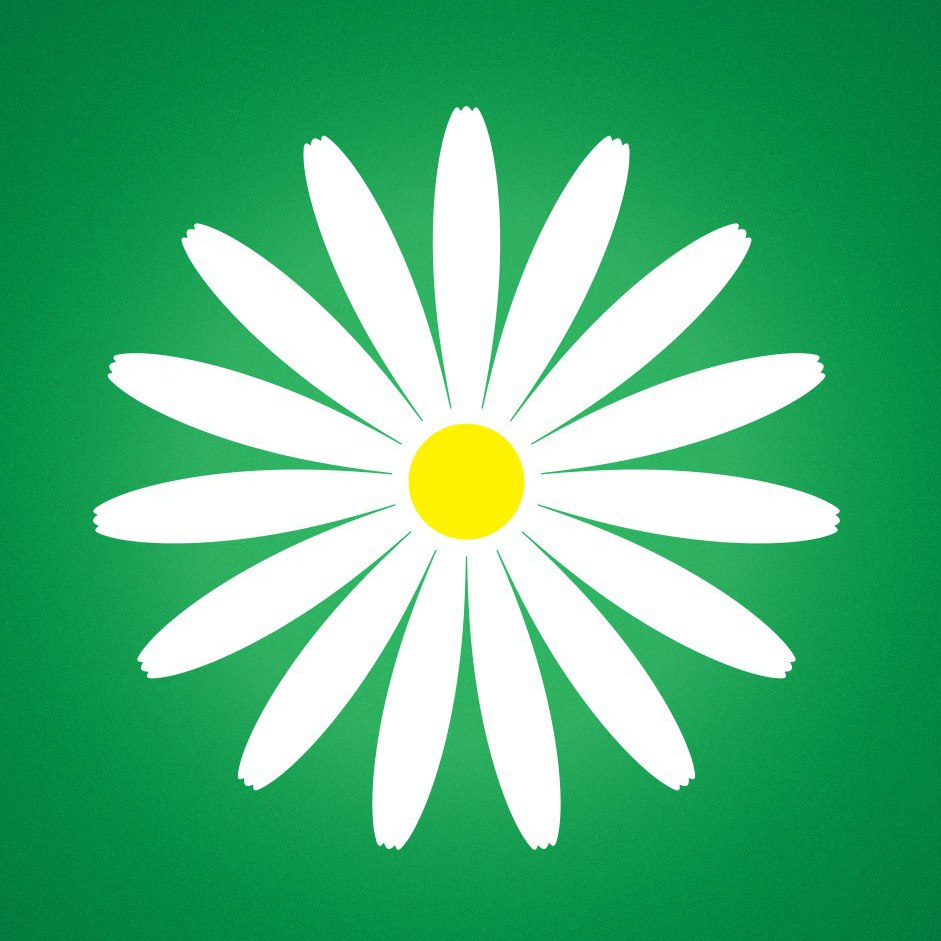 Логотип компании «Megaflowers»
