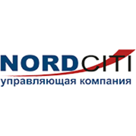 Логотип компании «НОРДСИТИ»