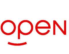 Логотип компании «Open Group»
