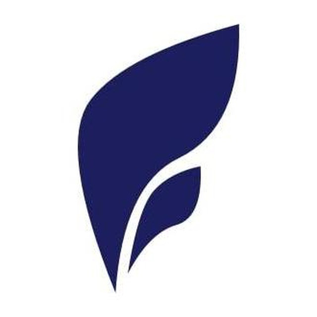 Логотип компании «Finangel»