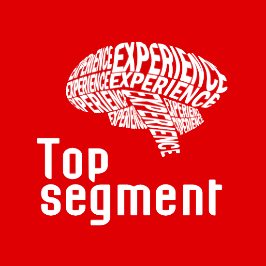 Логотип компании «TOP Segment»