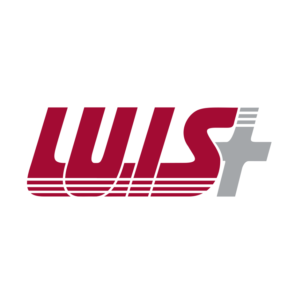 Логотип компании «LUIS+»