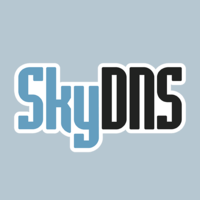 Логотип компании «SkyDNS»
