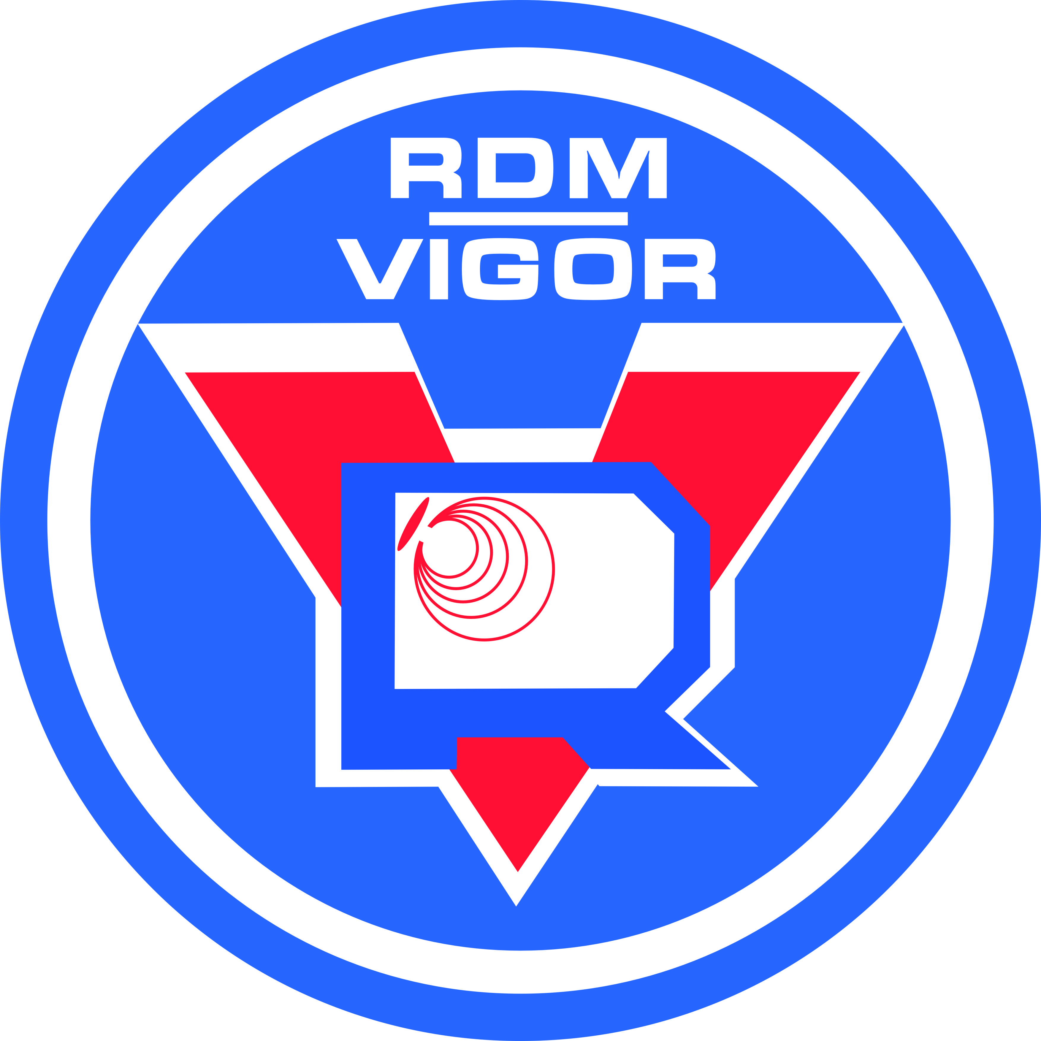 Логотип компании «НПП «ВИГОР»»