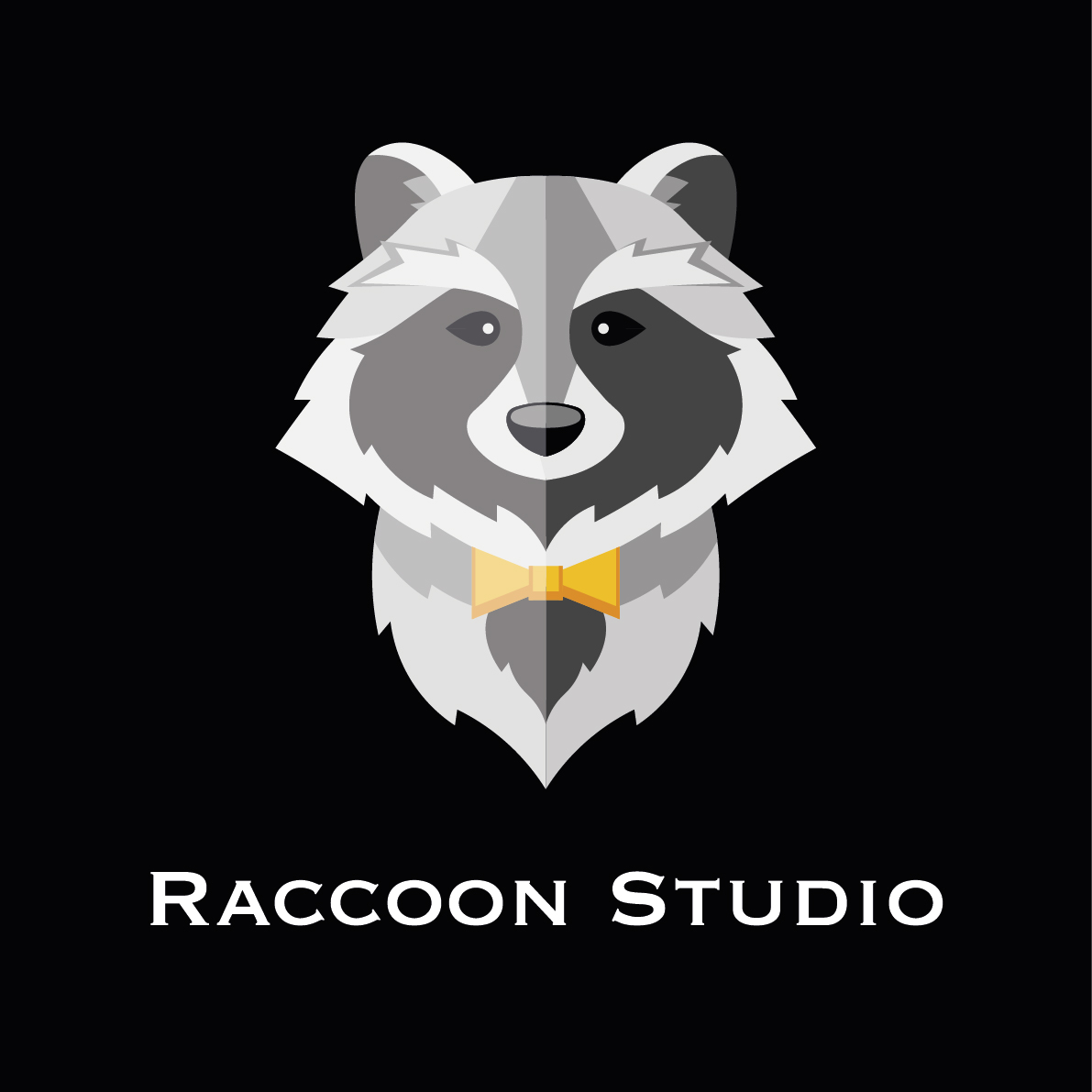 Логотип компании «Raccoon Studio»