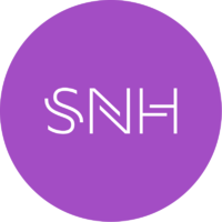 Логотип компании «SNH MeisterSoft»