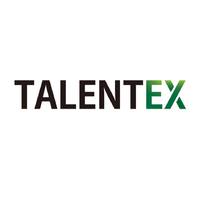Логотип компании «TalentEx»