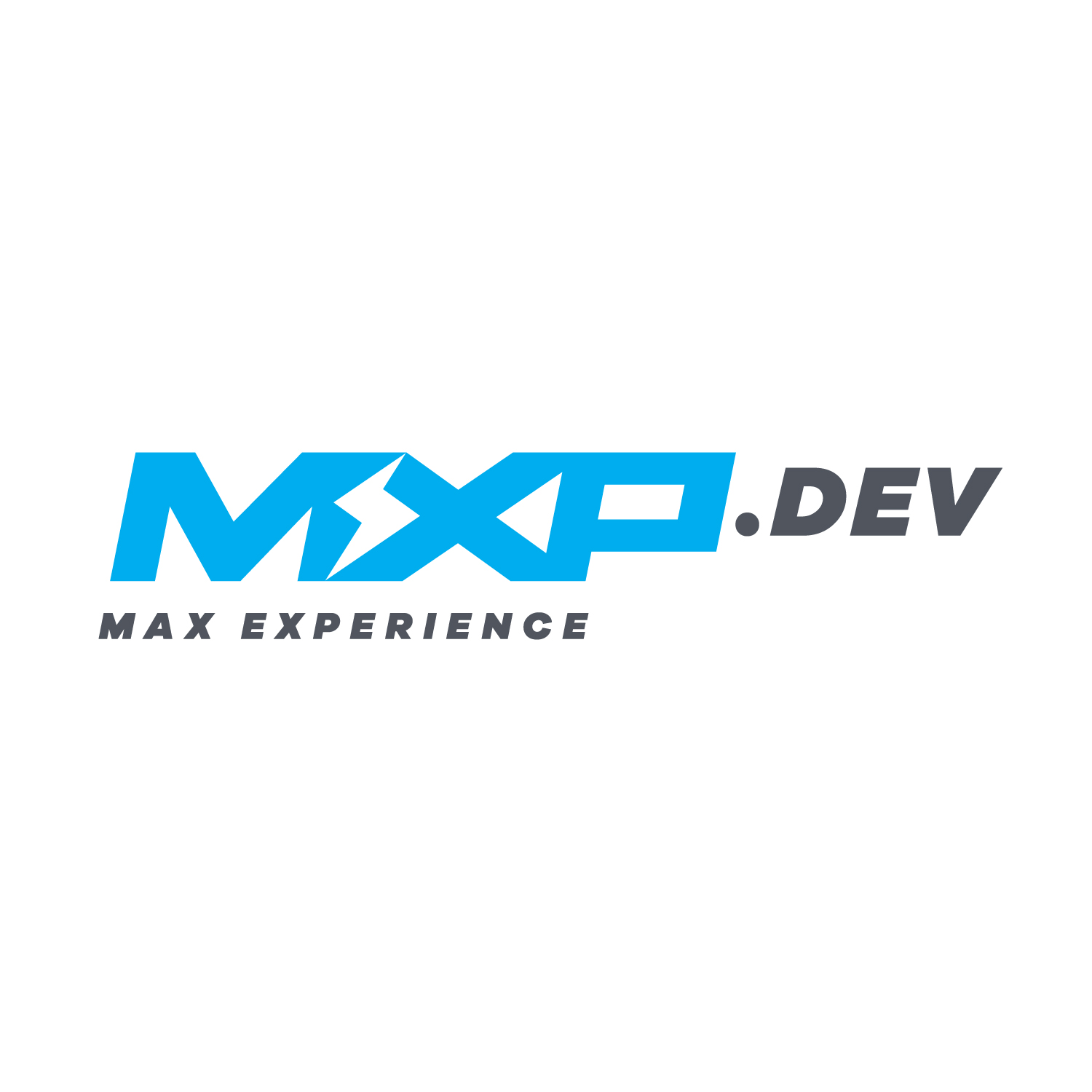 Логотип компании «MaxiTech»