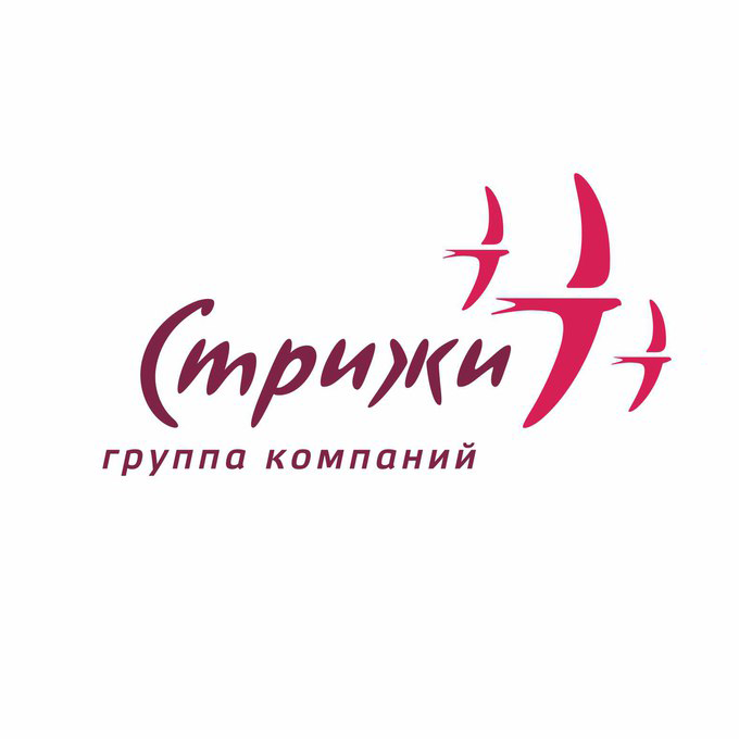 Логотип компании «ГК «Стрижи»»