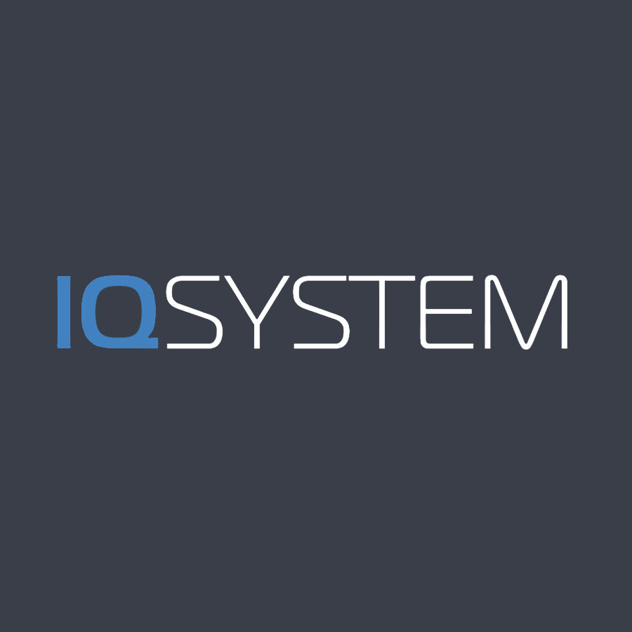 Логотип компании «IQ System»