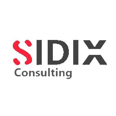 Логотип компании «SIDIX Consulting»