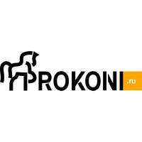 Логотип компании «Prokoni Media»