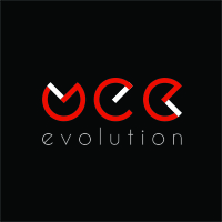 Логотип компании «WebEvolution»