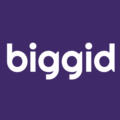 Логотип компании «biggid»