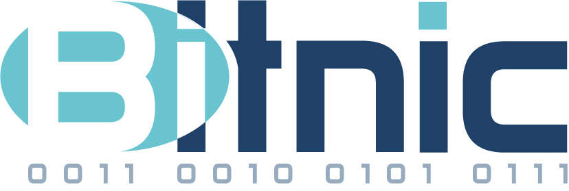 Логотип компании «Bitnic»