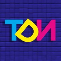 Логотип компании «АНО ТДИ»