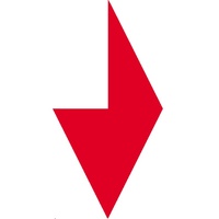 Логотип компании «Gembird Software»