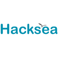 Логотип компании «Hacksea»