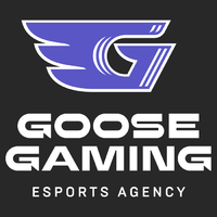 Логотип компании «Goose Gaming»