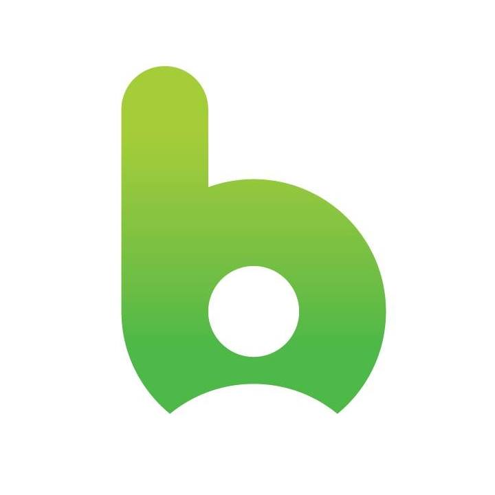 Логотип компании «BICA Services»