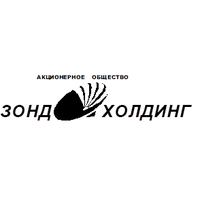 Логотип компании «Зонд-Холдинг»