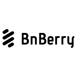 Логотип компании «BnBerry»