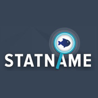 Логотип компании «Statname.net»