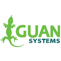 Логотип компании «Iguan Systems»