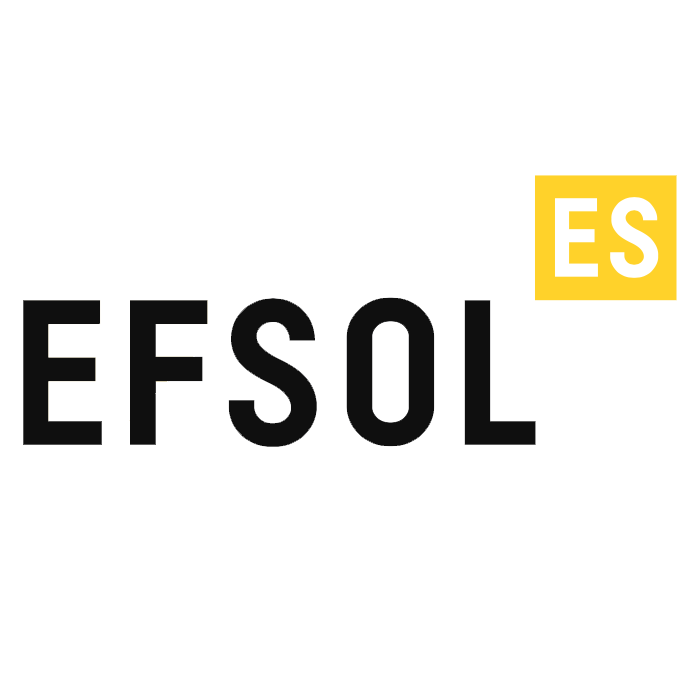 Логотип компании «EFSOL»