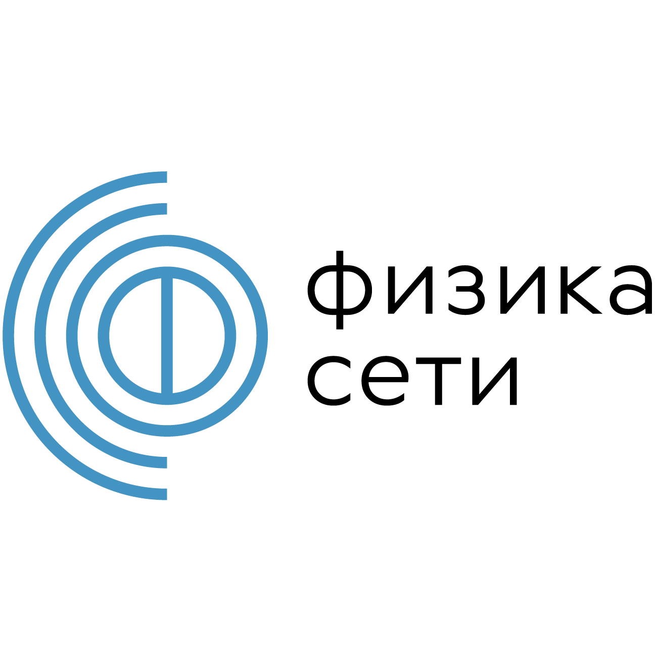 Логотип компании «Физика Сети»