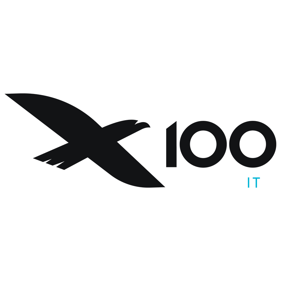 Логотип компании «IT X100»