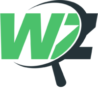 Логотип компании «Whatzap»